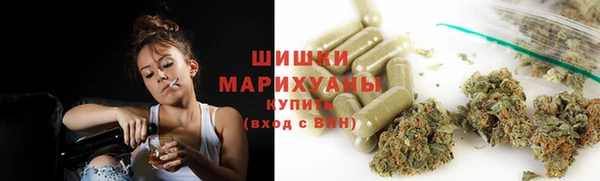 ПСИЛОЦИБИНОВЫЕ ГРИБЫ Алзамай