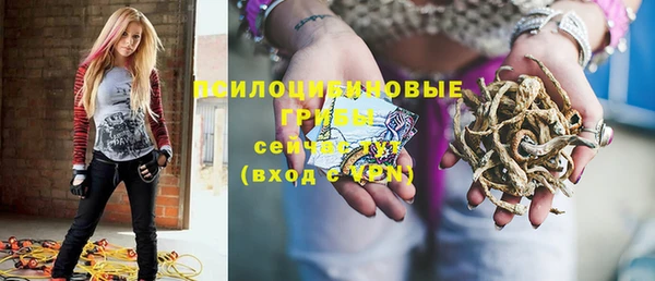 ПСИЛОЦИБИНОВЫЕ ГРИБЫ Алзамай
