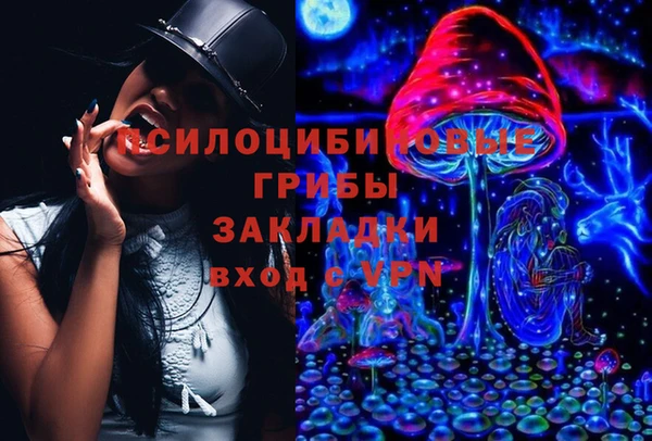 ПСИЛОЦИБИНОВЫЕ ГРИБЫ Алзамай
