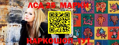 стафф Нальчик