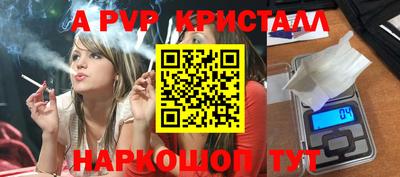 стафф Нальчик