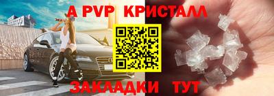 стафф Нальчик