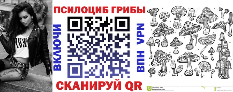 MEGA рабочий сайт  где купить наркоту  Невинномысск  Псилоцибиновые грибы Psilocybe 