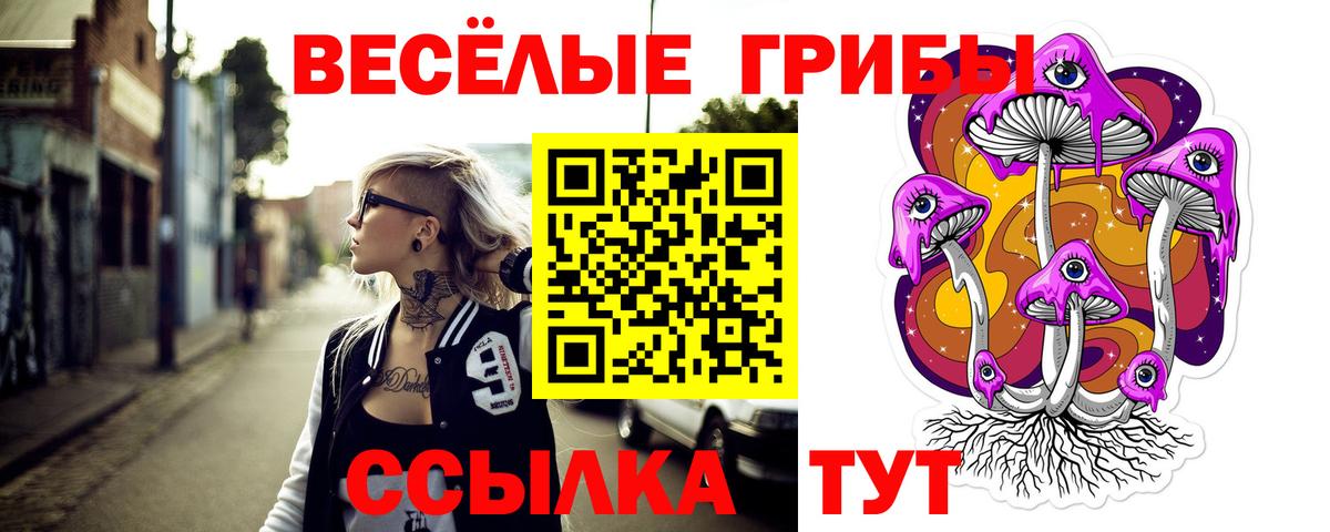 Псилоцибиновые грибы прущие грибы Невинномысск