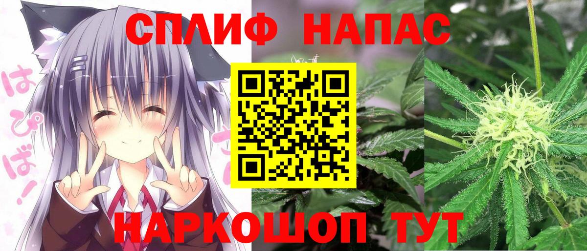 Бошки Шишки сатива Невинномысск